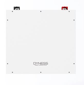 Dyness DL 5.12kWh LV (48V) Lithium ion battery thumbnail