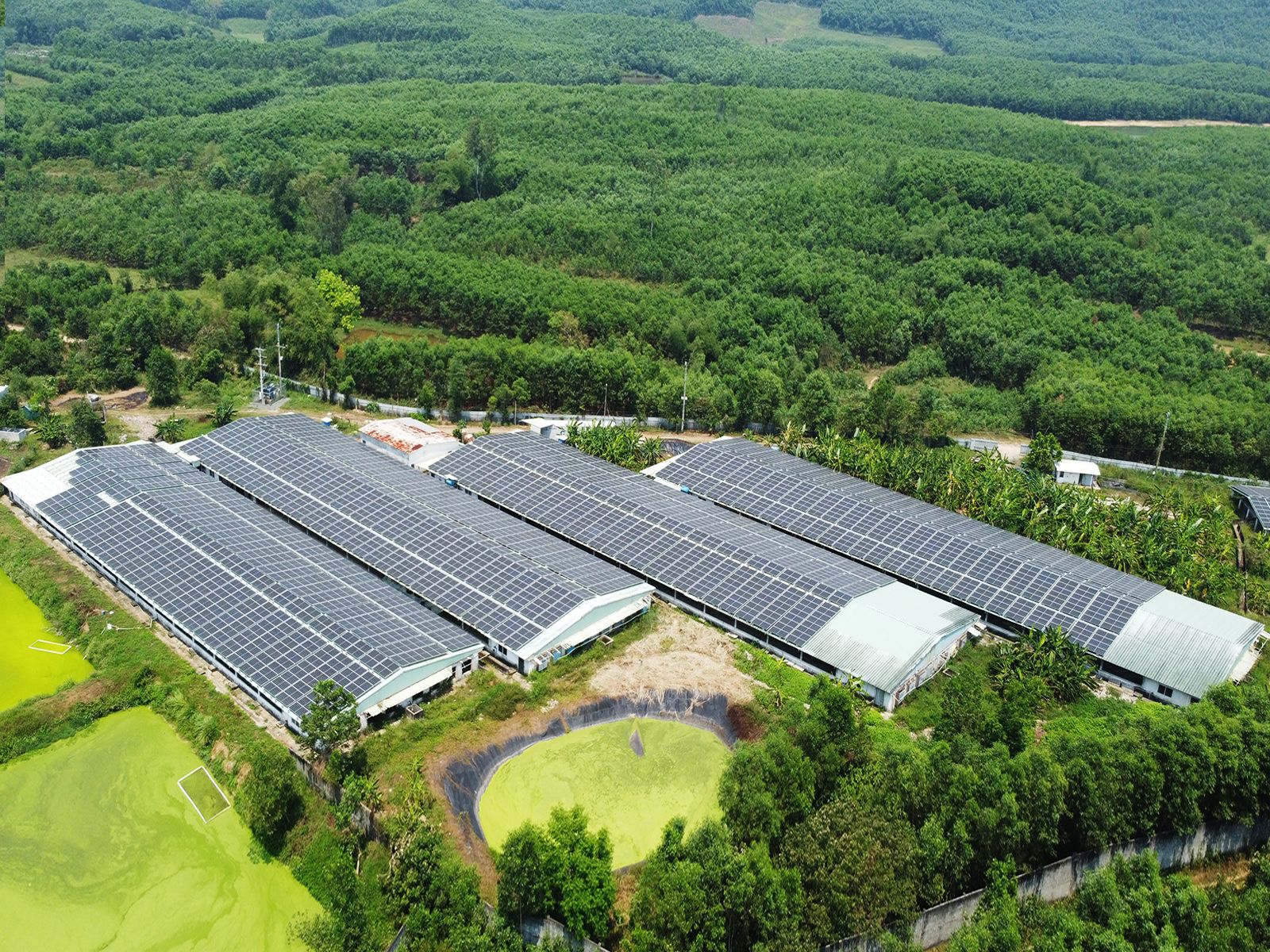 industrial solar solutions thumbnail
