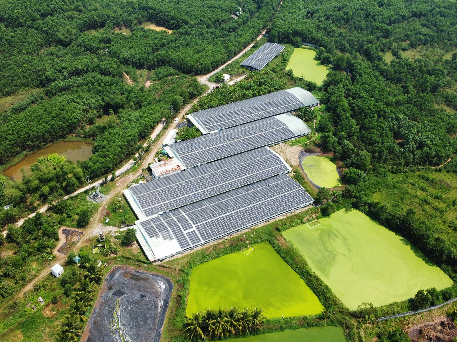 industrial solar solutions thumbnail